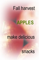 Apples